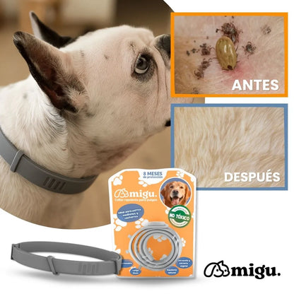Collar MIGU®️ Antipulgas y Antigarrapatas Para Perros - 8 Meses de Protección 100% Natural